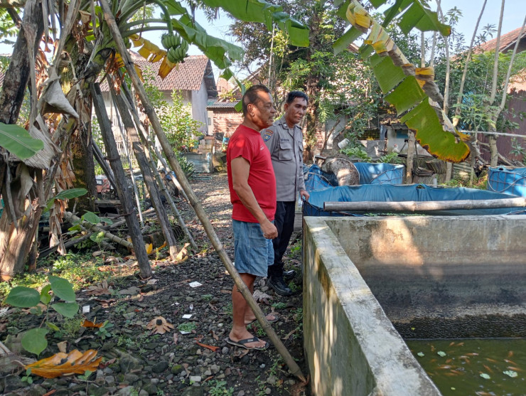 Bhabinkamtibmas Tulangan Tinjau Lahan Ketahanan Pangan Ikan Nila