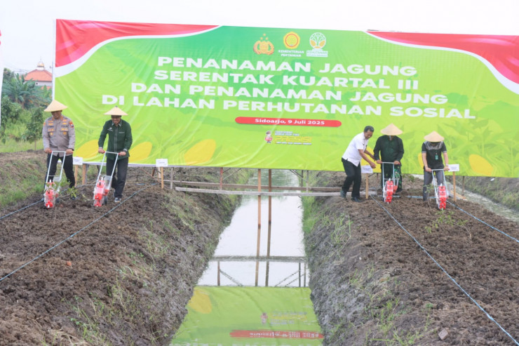 Tanam Jagung Serentak, Forkopimda Sidoarjo Gandeng Pesantren Sukseskan Ketahanan Pangan