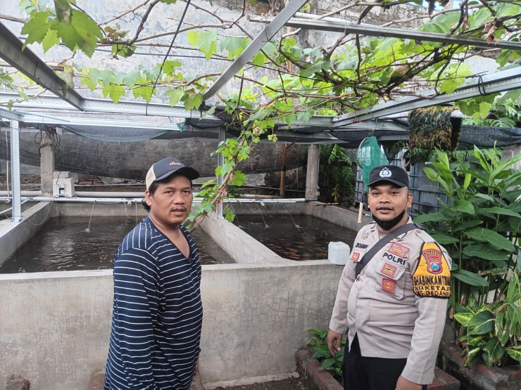 Bhabinkamtibmas Desa Ketajen Tinjau Peternakan Nila Merah, Dukung Ketahanan Pangan Masyarakat