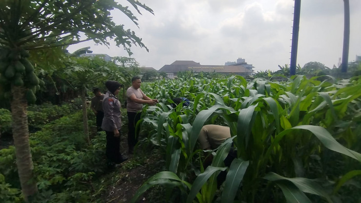 Anggota Polsek Waru Tinjau Ketahanan Pangan Desa, Ajak Warga Rawat Tanaman untuk Swasembada Pangan