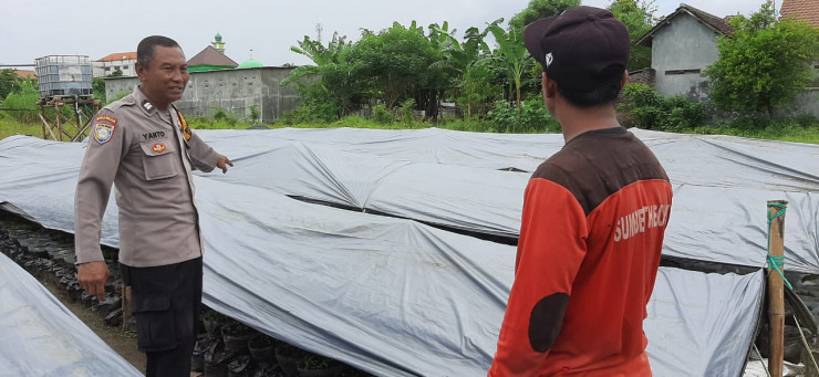 Polsek Tulangan Dampingi Warga Rawat Tanaman Cabai di Pekarangan Rumah
