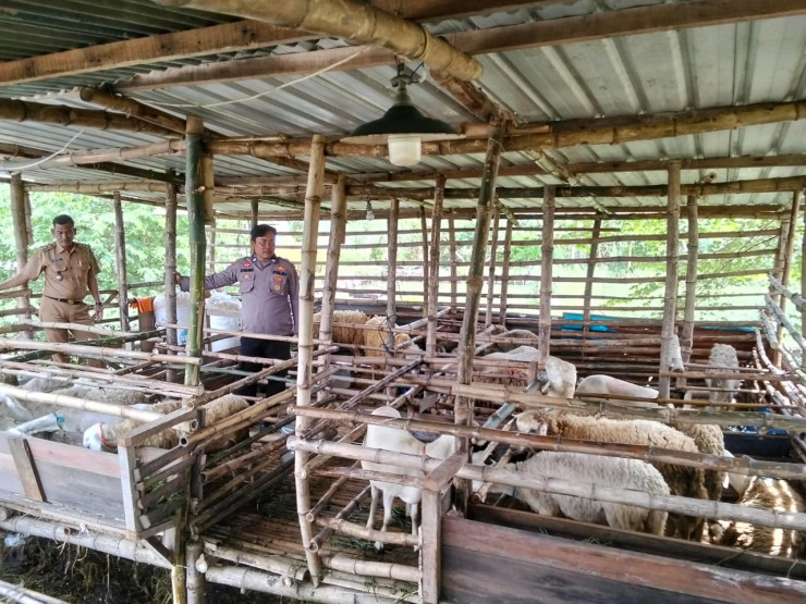 Kanit Binmas Polsek Prambon Tinjau Peternakan Kambing Dukung Program Ketahanan Pangan