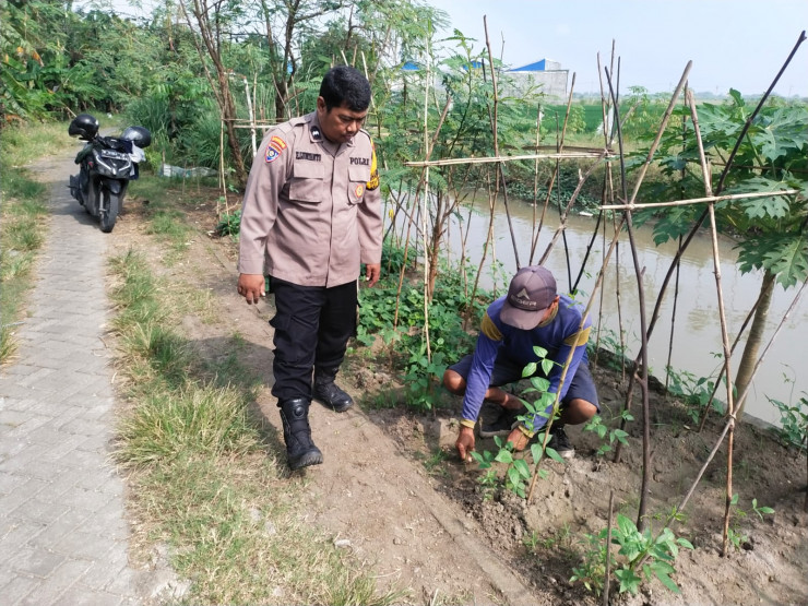 Polisi Turun ke Lahan, Dampingi Petani Wujudkan Ketahanan Pangan di Desa Rejeni