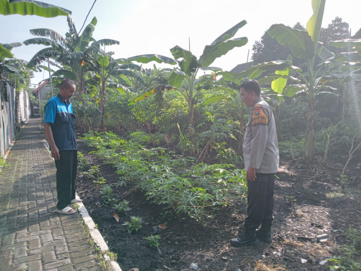 Bhabinkamtibmas Polsek Tulangan Dukung Swasembada Pangan Mandiri Lewat Program Pekarangan Bergizi